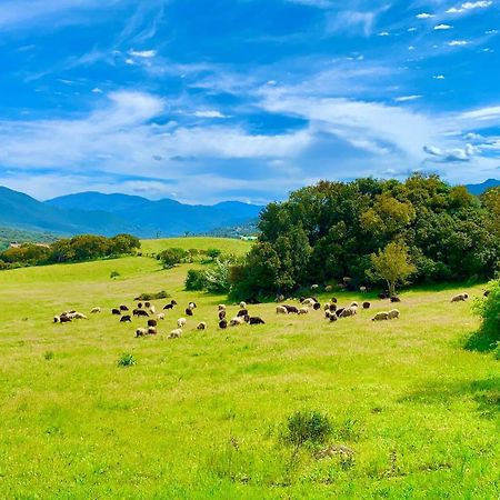 L'Aravone Lodge Sartène Zewnętrze zdjęcie