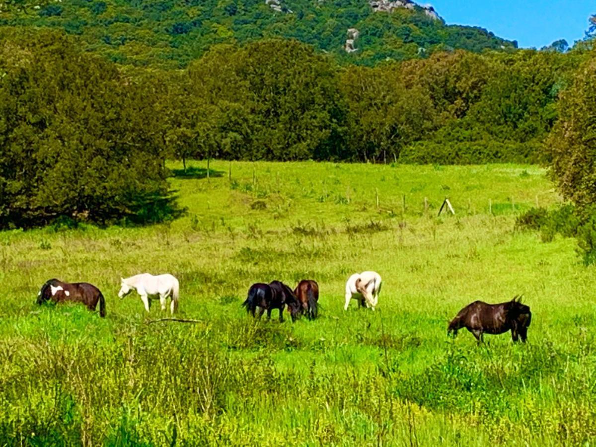 L'Aravone Lodge Sartène Zewnętrze zdjęcie