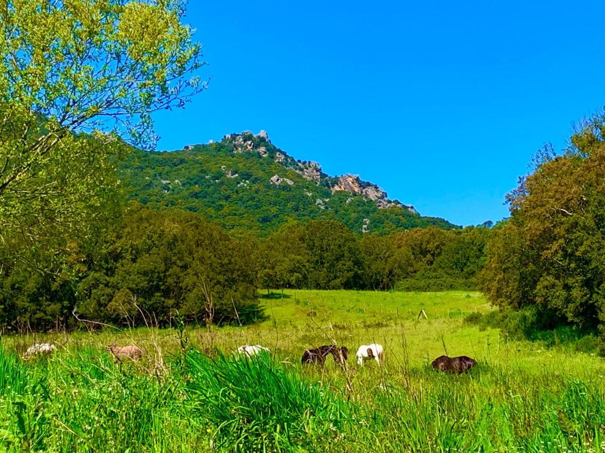 L'Aravone Lodge Sartène Zewnętrze zdjęcie
